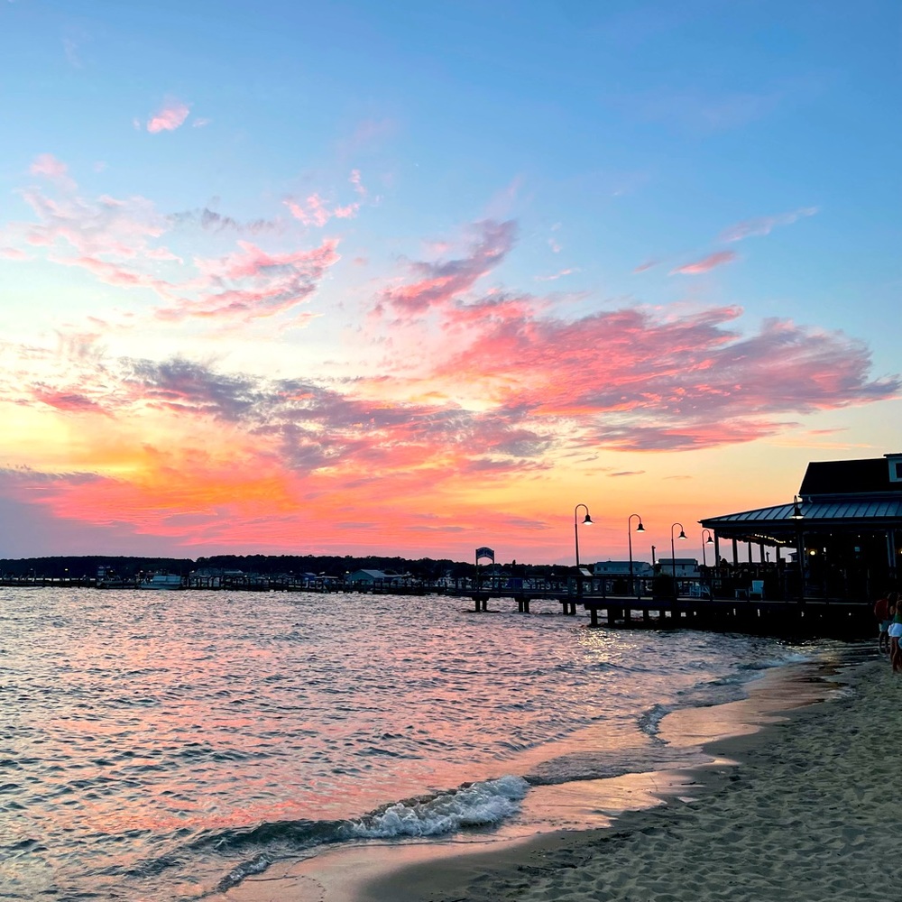 Meet your Posher, Molly